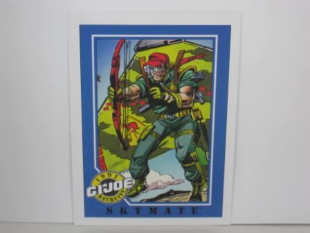 #122 Skymate 1991 Hasbro G.I. Joe Card